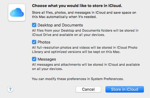 choose what you would like to store in iCloud
