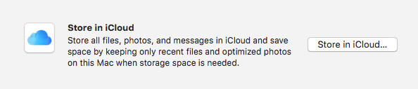 Click on Store in iCloud