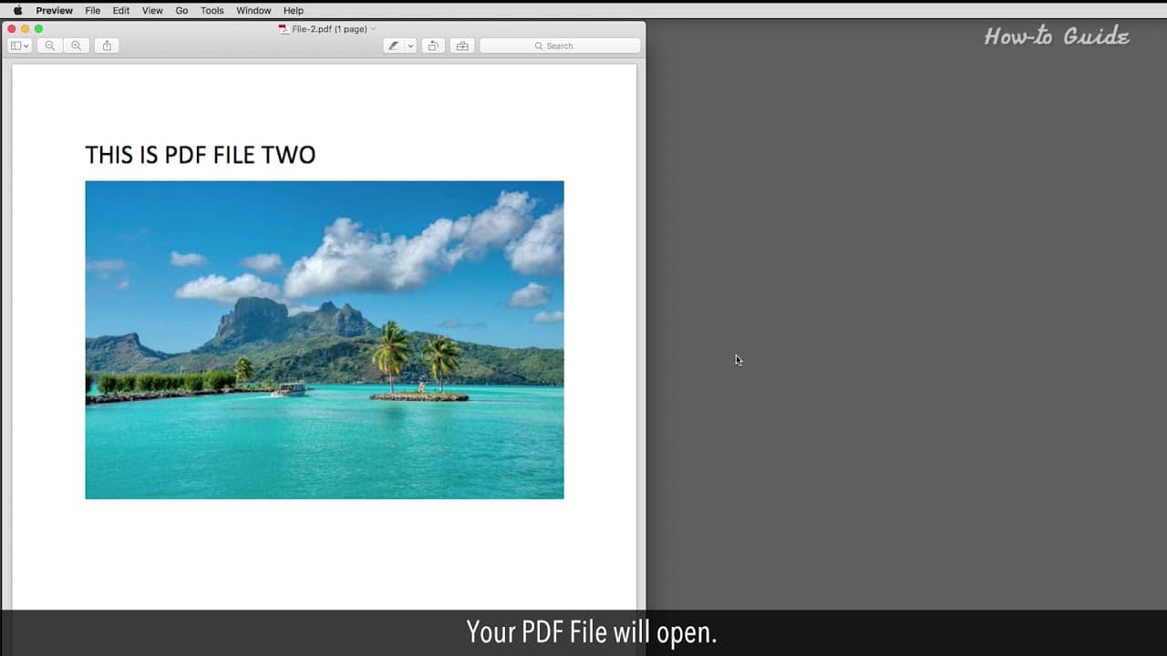 Typing on a PDF: Step-by-Step Guide